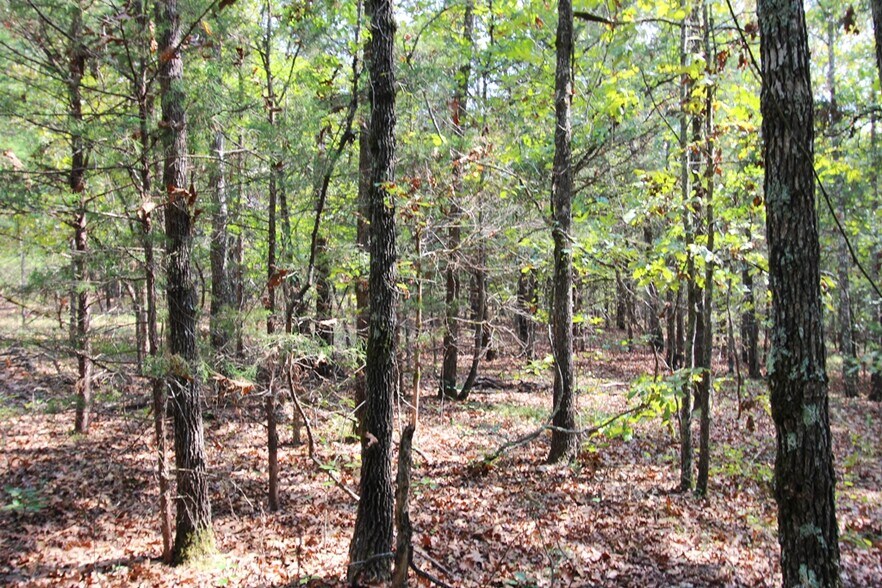 More Photos Of 226 Blythe rd, Greenbrier Land For Sale