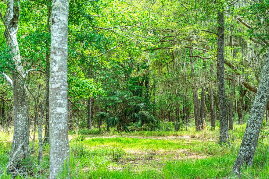 More Photos Of 0 King Rail Lane, Edisto Island Land For Sale