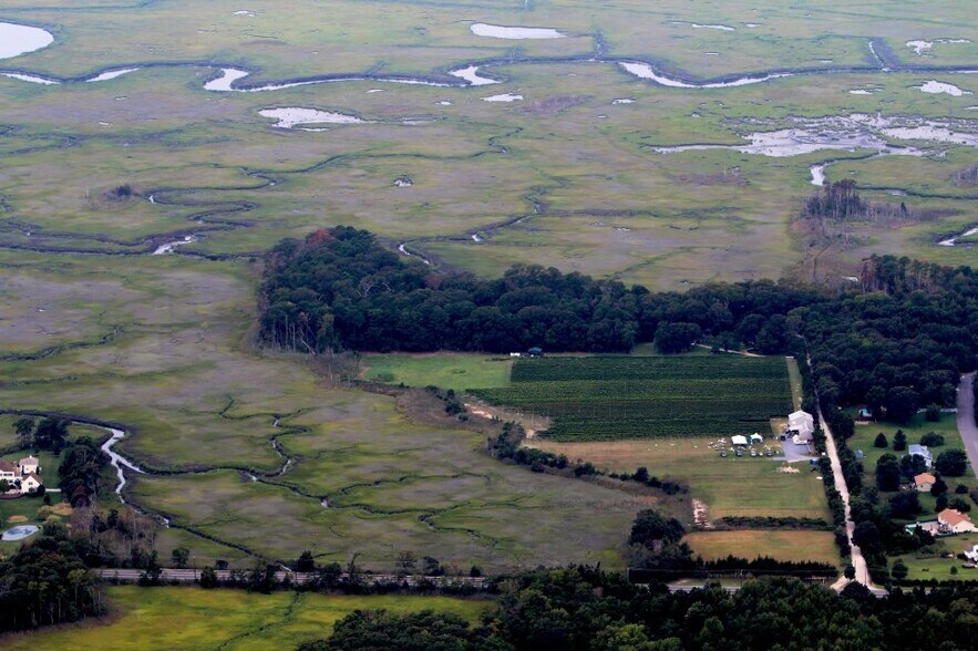 More Photos Of 221 N Delsea Dr, Cape May Court House Winery Vineyard For Sale
