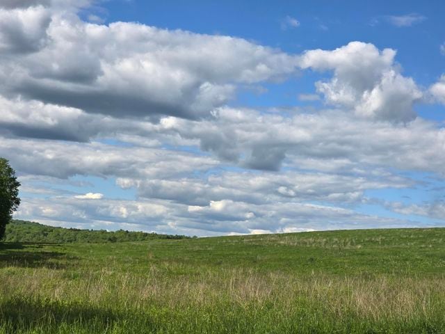 More Photos Of 347 Old Kersey Rd, Kersey Land For Sale