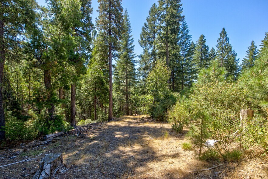 More Photos Of Texas Hill Rd, Emigrant Gap Land For Sale