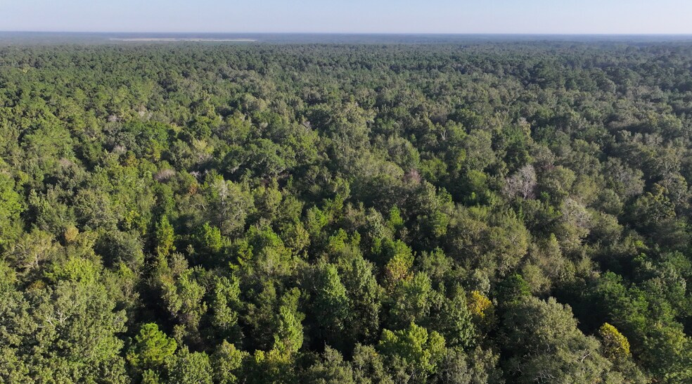 More Photos Of TBD CR 2041, Hull Land For Sale