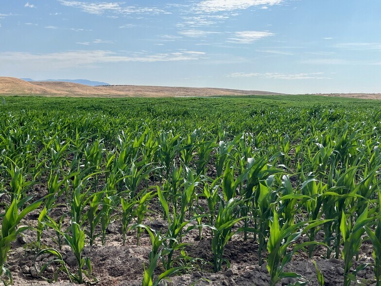 Primary Photo Of TBD Rockin B Lane, Emmett Land For Sale