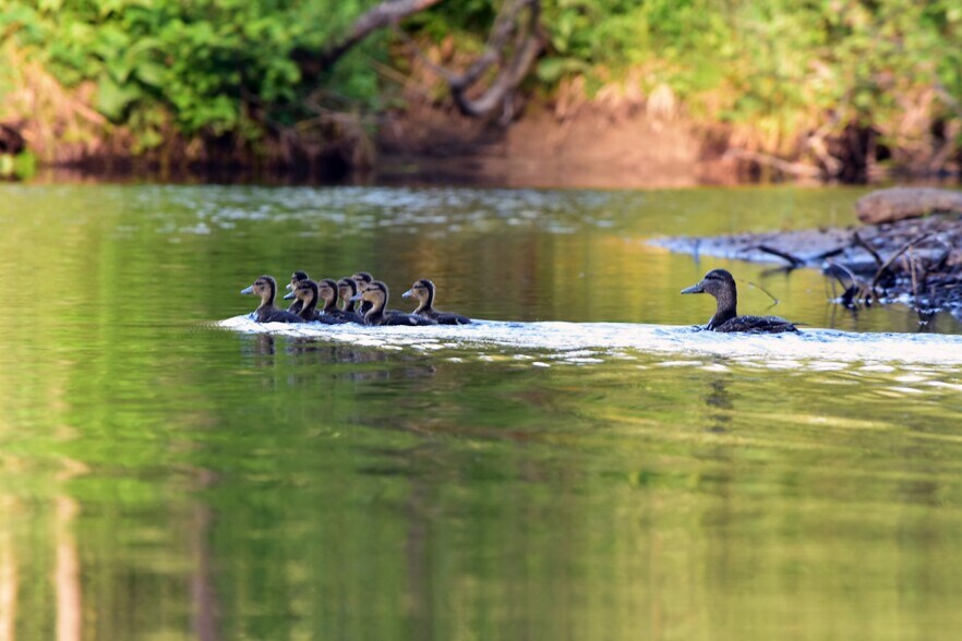 More Photos Of 6003 Route 201, Parlin Pond Twp Lodge Meeting Hall For Sale