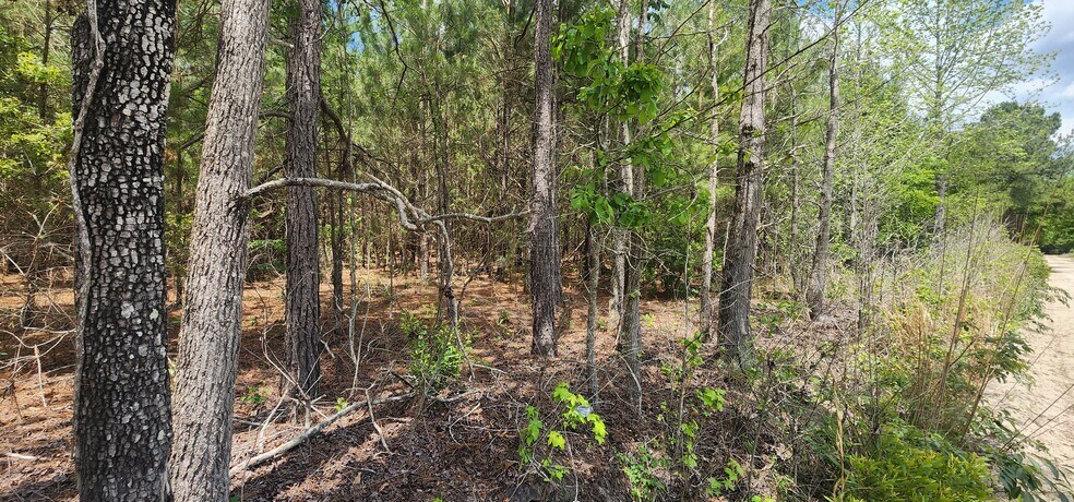 More Photos Of 653 Lost Horn Rd, Branchville Land For Sale