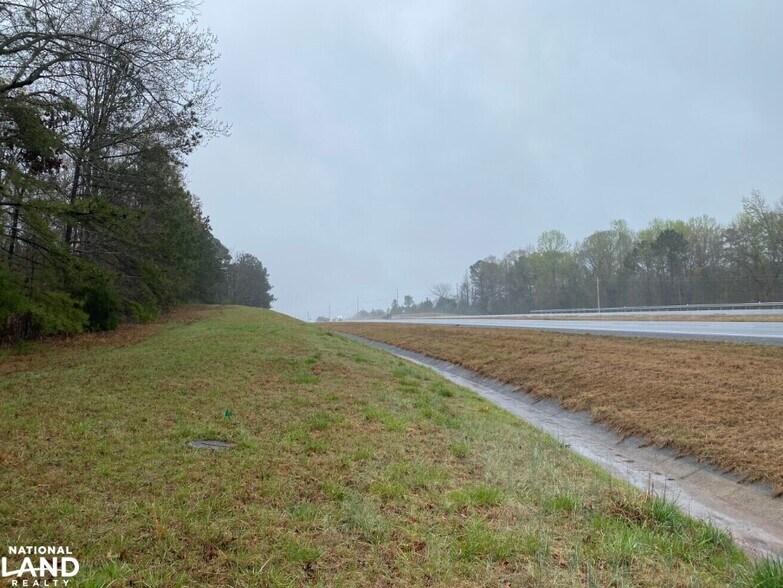 More Photos Of 0 Highway 280, Dadeville Land For Sale