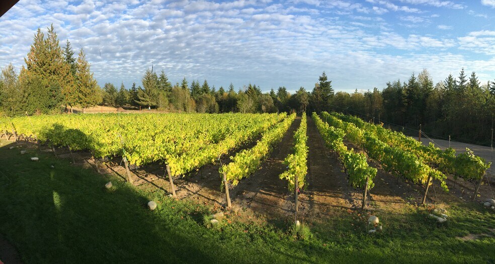 More Photos Of 1673 Woodland Dr, Port Townsend Winery Vineyard For Sale