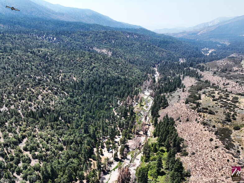 More Photos Of 42193 Seven Oaks Road, Angelus Oaks Specialty For Sale