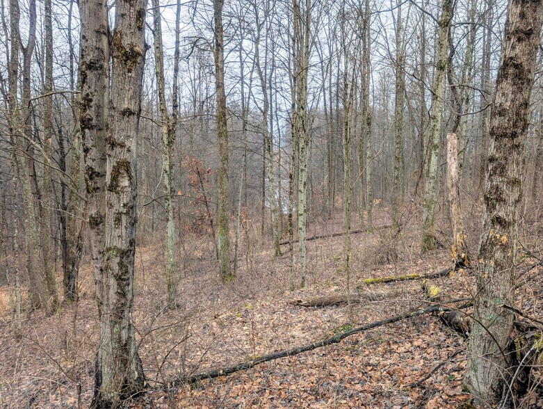 More Photos Of ,  Land For Sale