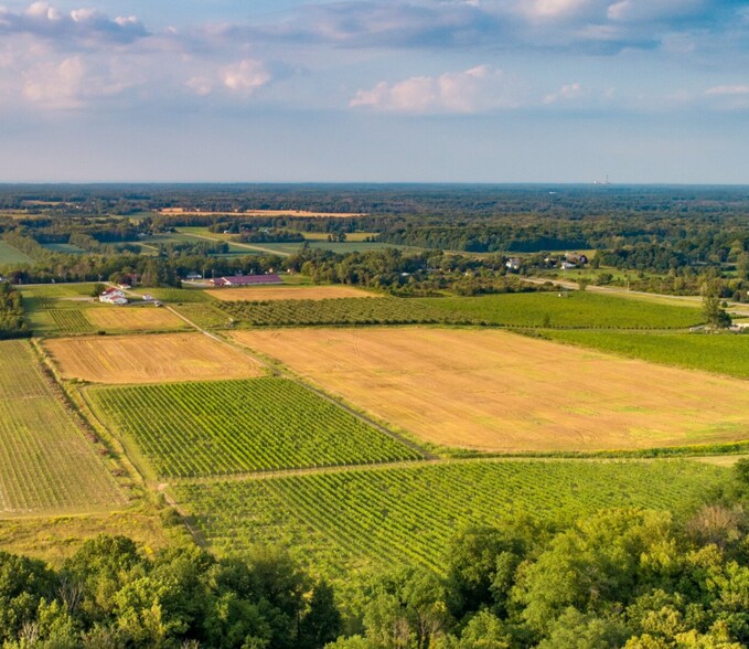 More Photos Of 5138 Lower Mountain Rd, Lockport Winery Vineyard For Sale