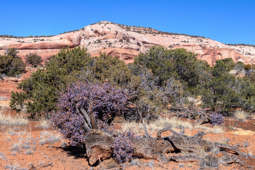 More Photos Of 1 Joe Wilson Dr 1 Phase 2 Joe Wilson Moab UT dr, Moab Land For Sale