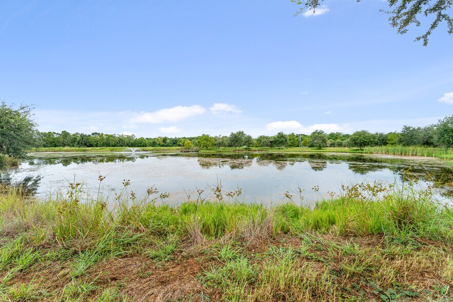 More Photos Of 23111 FM 1462 Rd, Damon Land For Sale