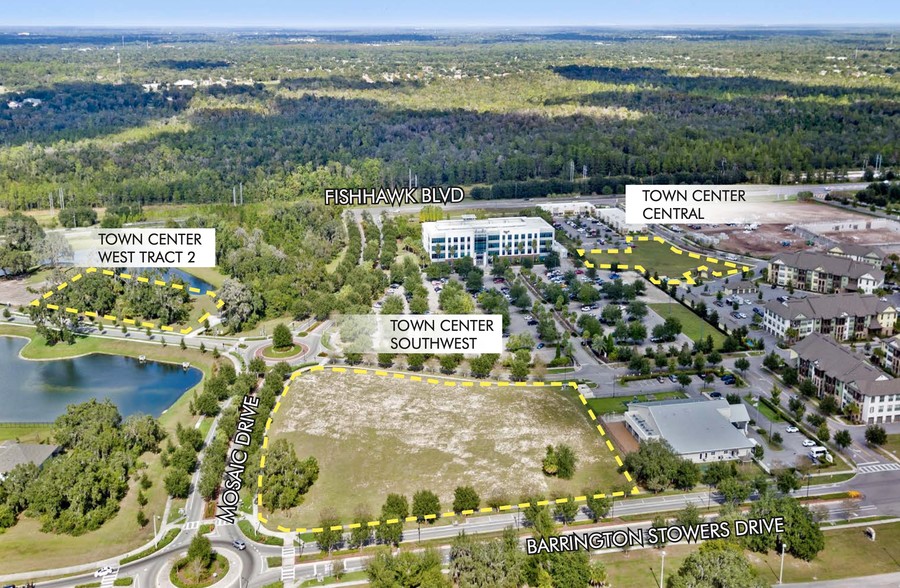 Primary Photo Of Skytop Dr and Fishhawk Blvd, Lithia Land For Sale