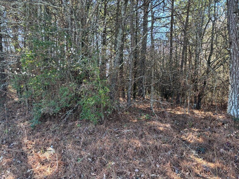 More Photos Of 2515 Eastgate pl, Snellville Land For Sale