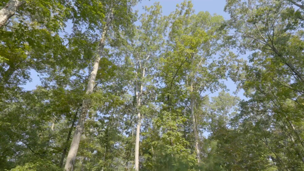 Primary Photo Of 2903 Steele Rd, Griffin Land For Sale