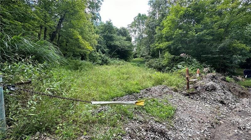 More Photos Of Lot 1 Low Hill Rd, Brownsville Land For Sale