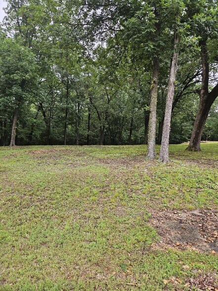 More Photos Of Unassigned Blue Bonnet Avenue, Disney Land For Sale