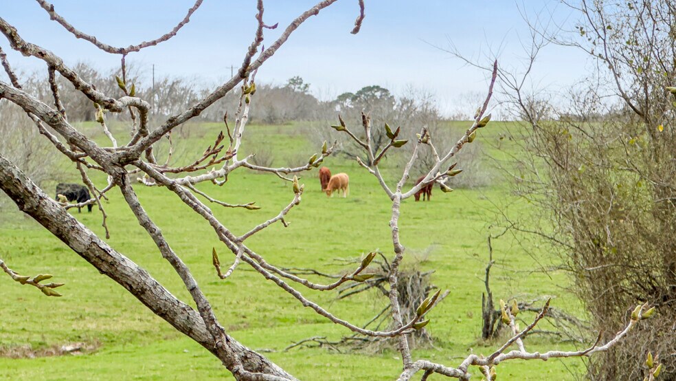 More Photos Of 3601 Highway 36 S, Brenham Land For Sale