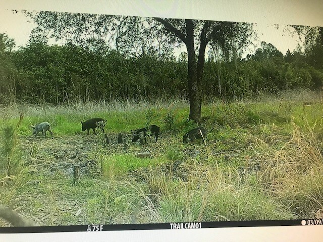 More Photos Of Redlands Dr, Deland Land For Sale