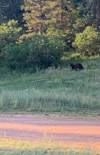 More Photos Of 11696 Trappers Mountain Trl, Littleton Land For Sale