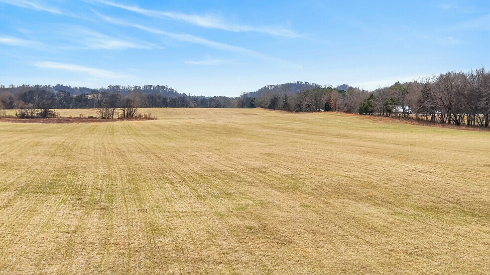 More Photos Of 9438 Lewisburg Hwy, Cornersville Land For Sale