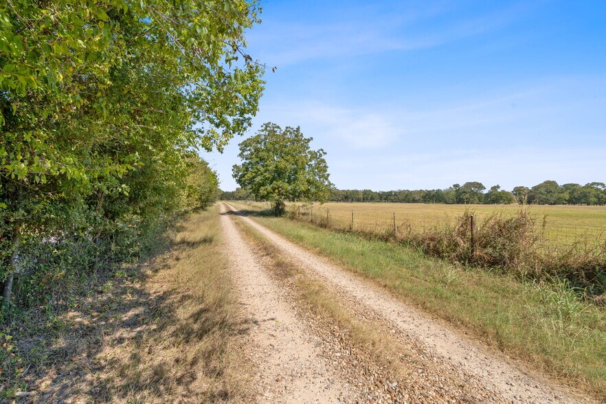 More Photos Of 5501 Old Colony Line Rd, Lockhart Land For Sale