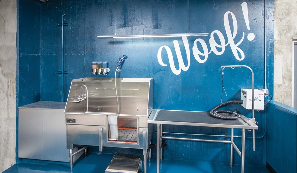 More Photos Of 2900 1st Ave, Seattle Apartments For Lease