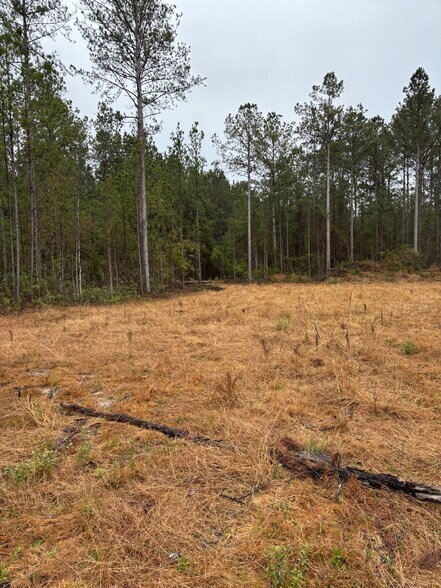 More Photos Of 3701 Highgate blvd, Bloomingdale Land For Sale