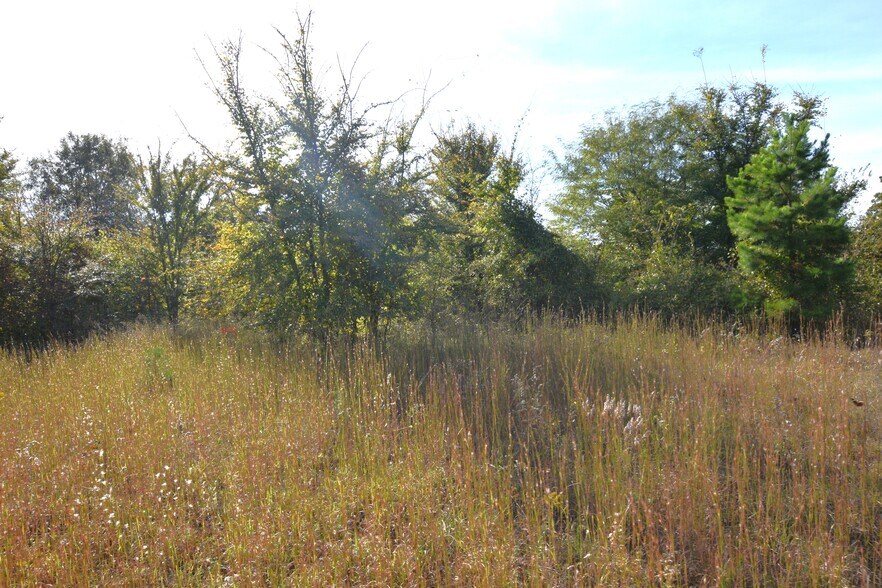 More Photos Of 1312 Caddo st, Muldrow Land For Sale