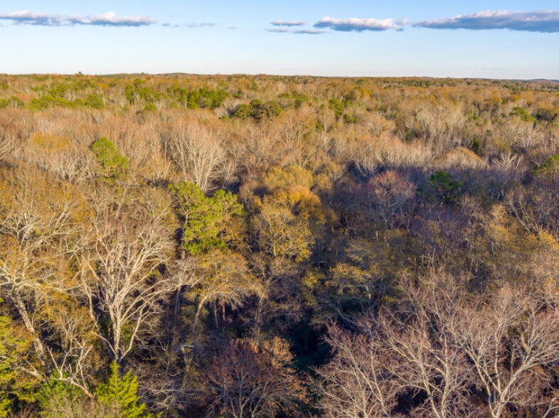 More Photos Of 0 Marshall Tucker Rd, Pauline Land For Sale