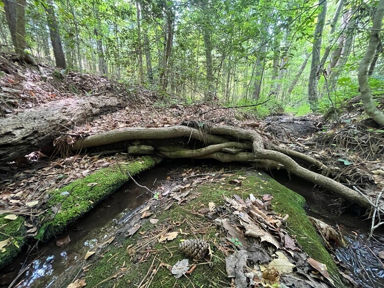More Photos Of 00 00 Youngstown Rd, Goochland Land For Sale