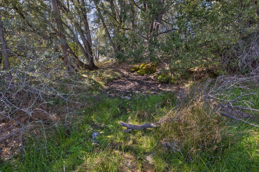 More Photos Of 18800 Charleston Rd, Volcano Land For Sale