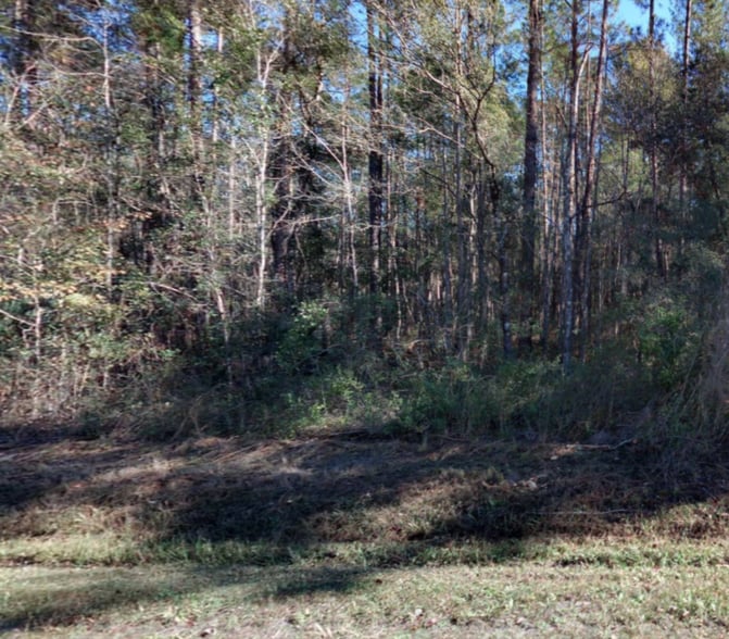 More Photos Of 10530 Flikkema ave, Hastings Land For Sale