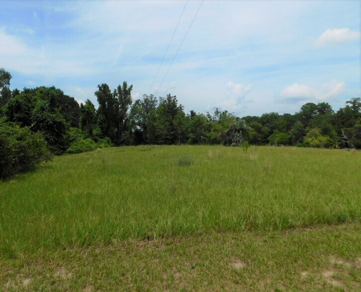 More Photos Of 252 NW Cali Dr, Lake City Land For Sale