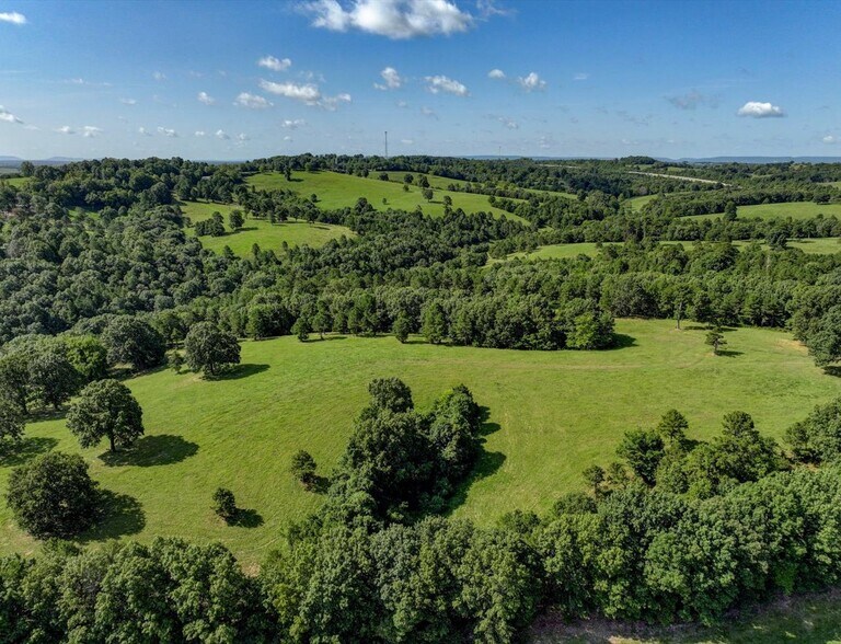 More Photos Of Hwy 65 and Old Hwy US 65, Omaha Land For Sale