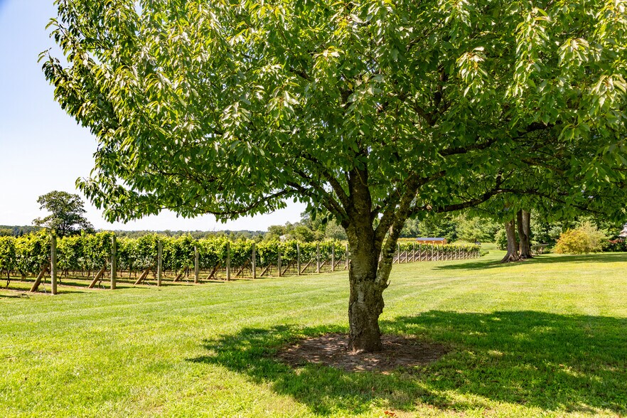 More Photos Of 27058 Mount Pleasant Rd, Columbus Winery Vineyard For Sale