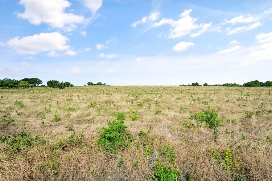 More Photos Of 10583 County Road 632, Blue Ridge Land For Sale