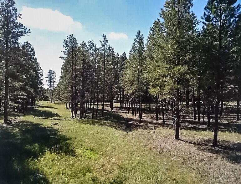 More Photos Of 800 N Switzer Canyon Dr, Flagstaff Land For Sale