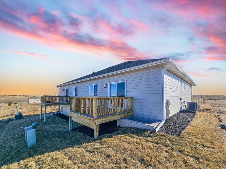 More Photos Of , Papillion Specialty For Sale