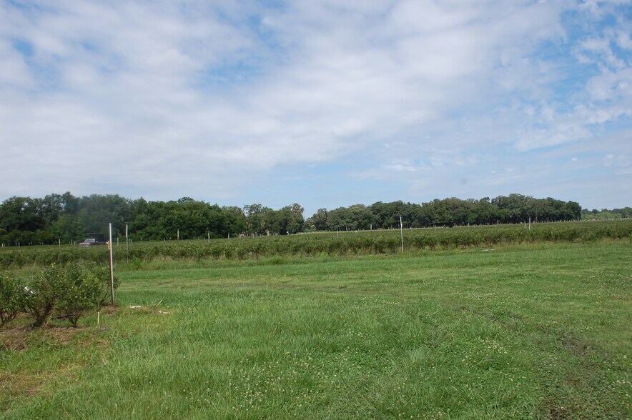 More Photos Of 18811 SE 243rd St, Hawthorne Specialty For Sale