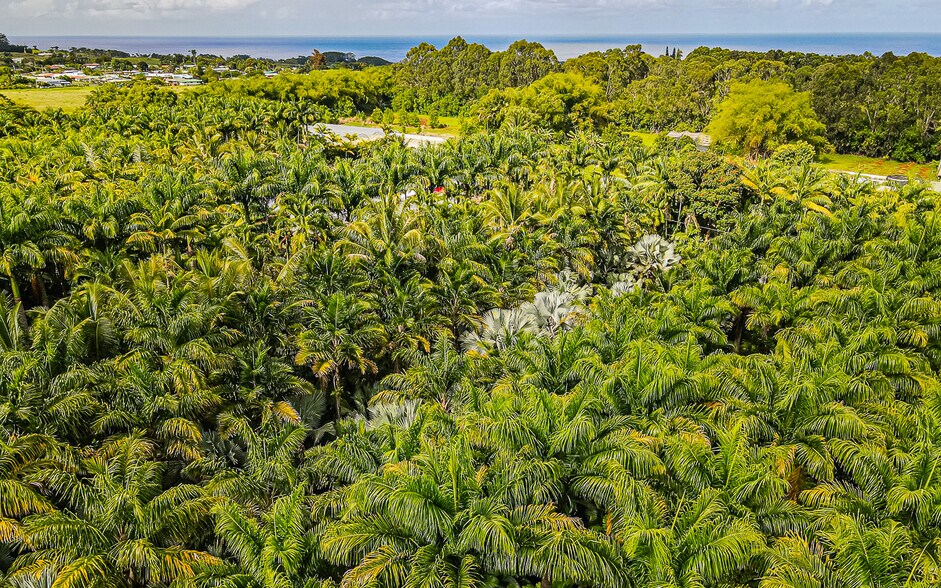 More Photos Of 27-2760 Hawaii Belt Rd, Pepeekeo Land For Sale