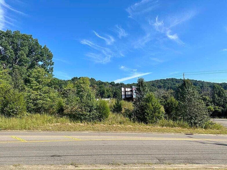 More Photos Of 100 W Mountain View Rd, Johnson City Land For Sale