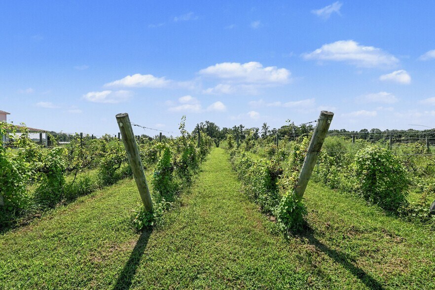 More Photos Of 495 Meadow Landing Ln, Caret Winery Vineyard For Sale