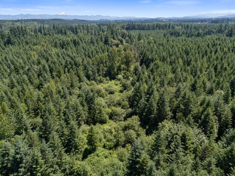 More Photos Of 0 Kiser Rd, Ethel Land For Sale