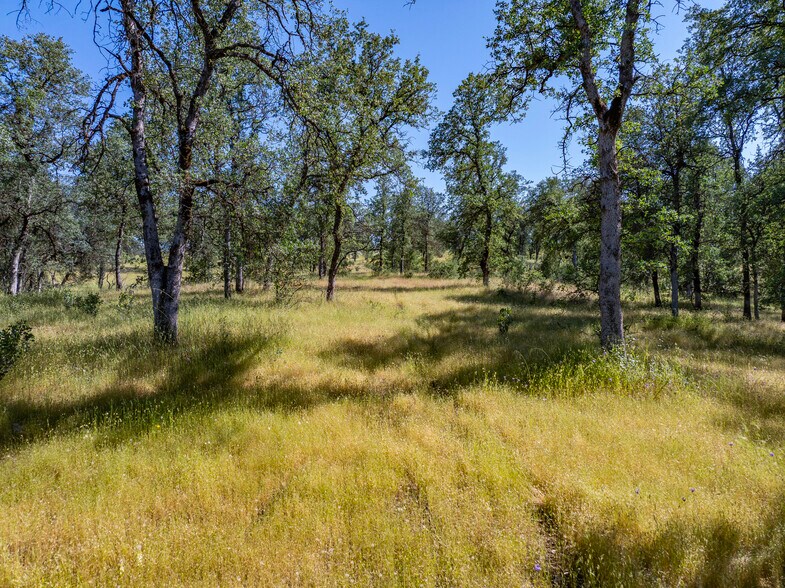 More Photos Of 11050 Campers ct, Redding Land For Sale