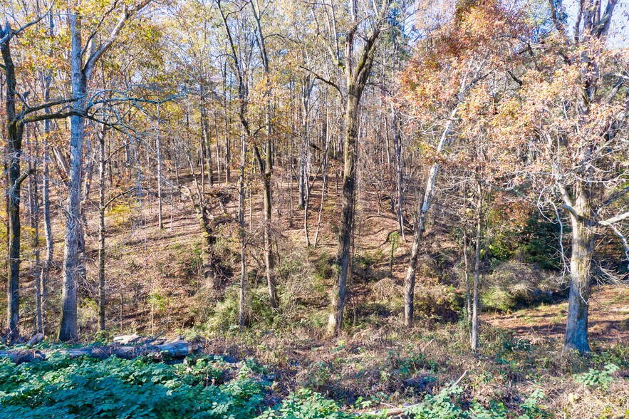 More Photos Of 5774 Henry Bailey Rd, Sugar Hill Land For Sale