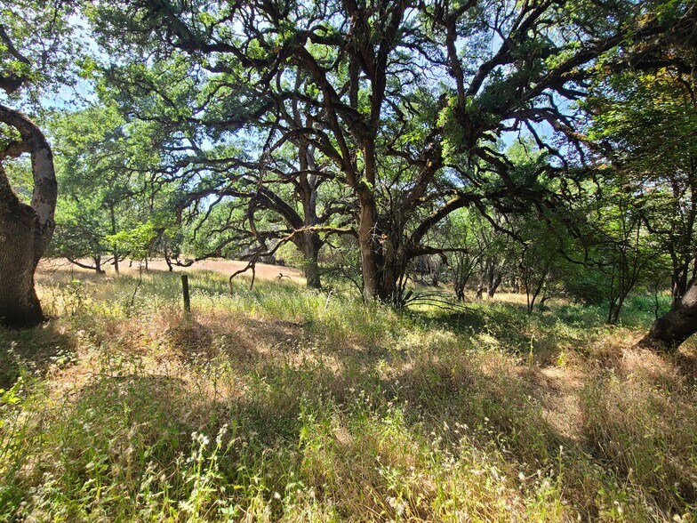 More Photos Of 3691 China Garden, Placerville Land For Sale