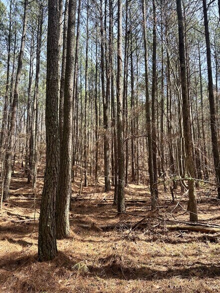 More Photos Of 0 Autry Rd, Plainville Land For Sale