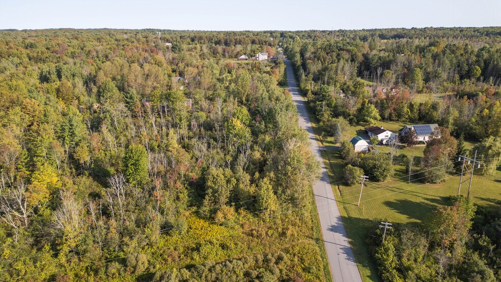 More Photos Of 219 Mudge rd, Delanson Land For Sale