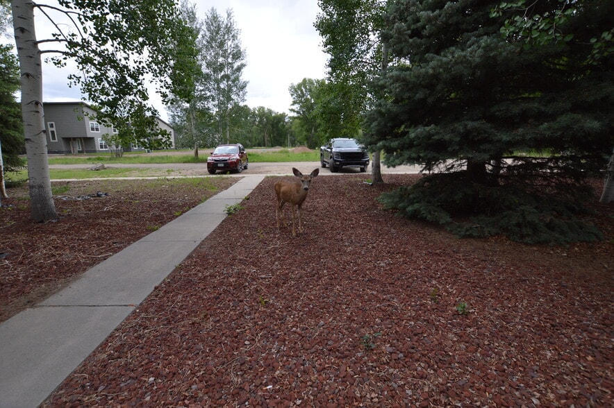 More Photos Of 1412 W Gunnison Ave, Gunnison Apartments For Sale